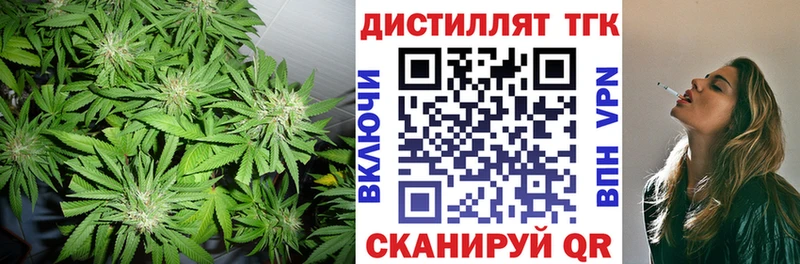 ОМГ ОМГ ТОР Чаплыгин ТГК Wax