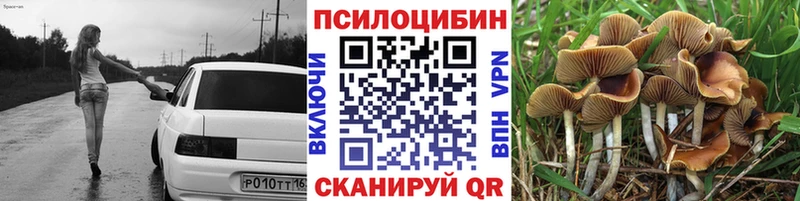 Галлюциногенные грибы MAGIC MUSHROOMS  Чаплыгин 