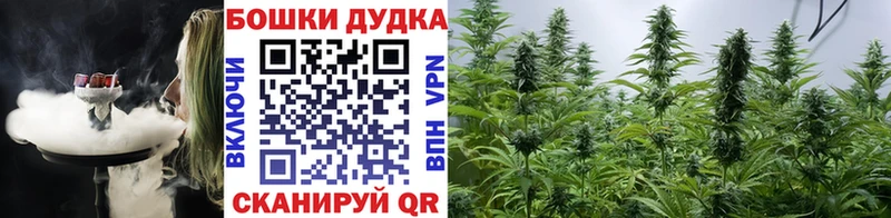 hydra ССЫЛКА  Чаплыгин  Шишки марихуана семена  купить наркоту 